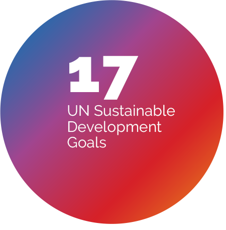 UN goals circle