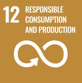 un goals responsible consumption and production