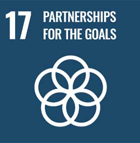 un goals partnerships for the goals