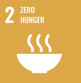un goals zero hunger
