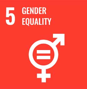 un goals gender equality